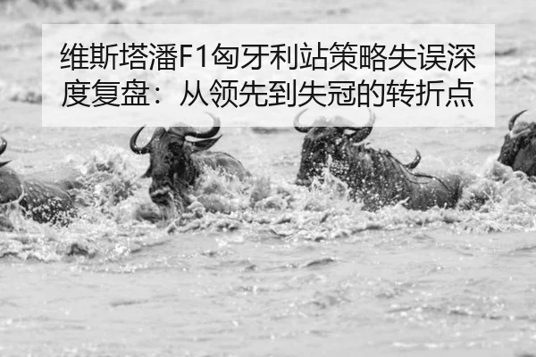 wei-si-ta-pan-xiong-ya-li-zhan-ce-lve-shi-wu-shen-du-fu-pan-cong-ling-xian-dao-shi-guan-de-zhuan-zhe-dian-2-471.jpg