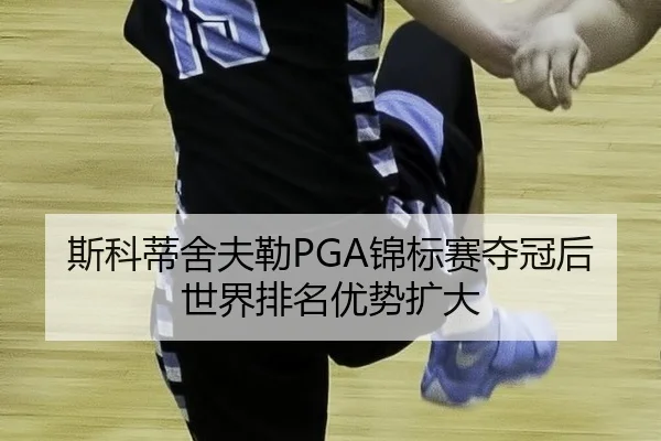 si-ke-di-she-fu-lei-jin-biao-sai-duo-guan-hou-shi-jie-pai-ming-you-shi-kuo-da-3-841.jpg